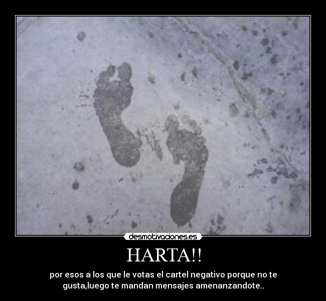 HARTA!! -