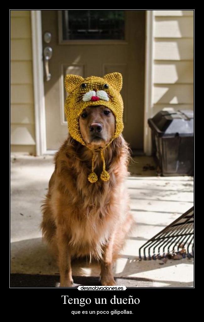 Tengo un dueño -