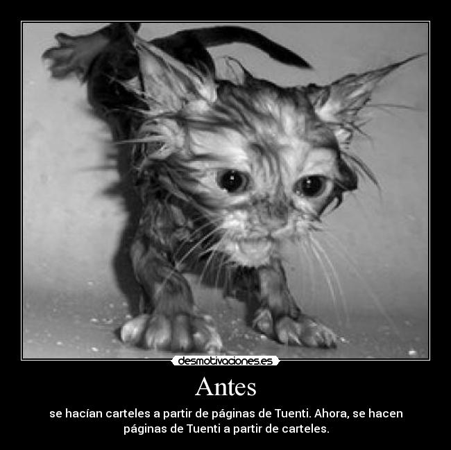 Antes - 