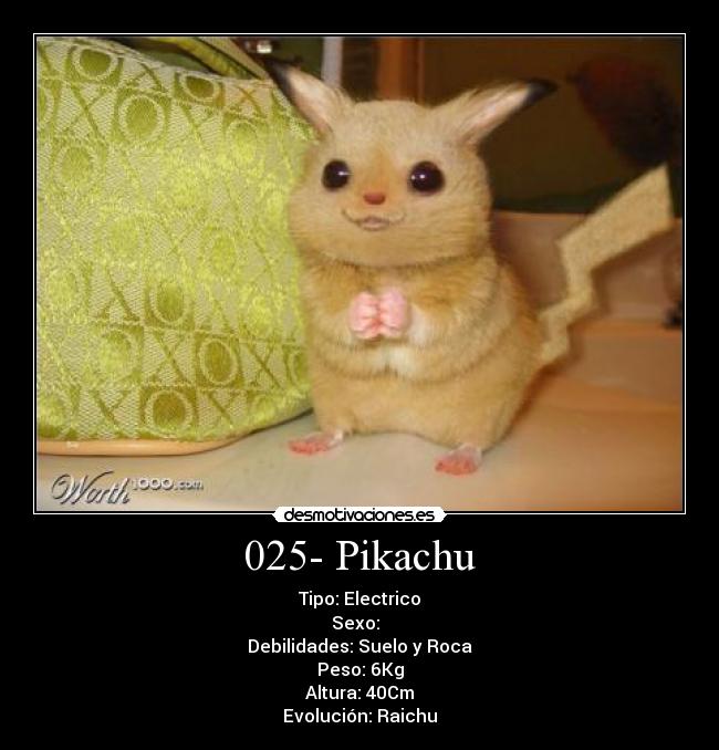 025- Pikachu - Tipo: Electrico
Sexo: ♂♀
Debilidades: Suelo y Roca
Peso: 6Kg
Altura: 40Cm
Evolución: Raichu