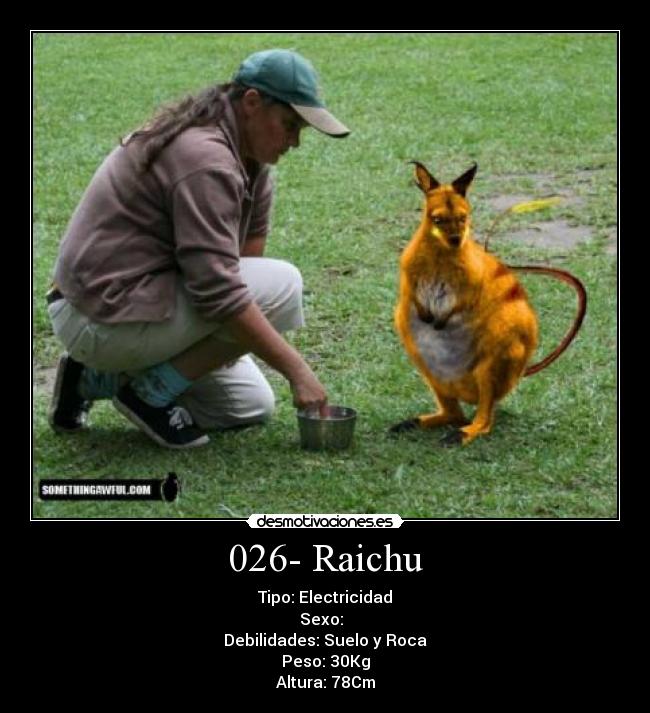 026- Raichu - Tipo: Electricidad
Sexo: ♂♀
Debilidades: Suelo y Roca
Peso: 30Kg
Altura: 78Cm