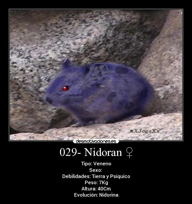 029- Nidoran ♀ - Tipo: Veneno
Sexo: ♀
Debilidades: Tierra y Psiquico
Peso: 7Kg
Altura: 40Cm
Evolución: Nidorina