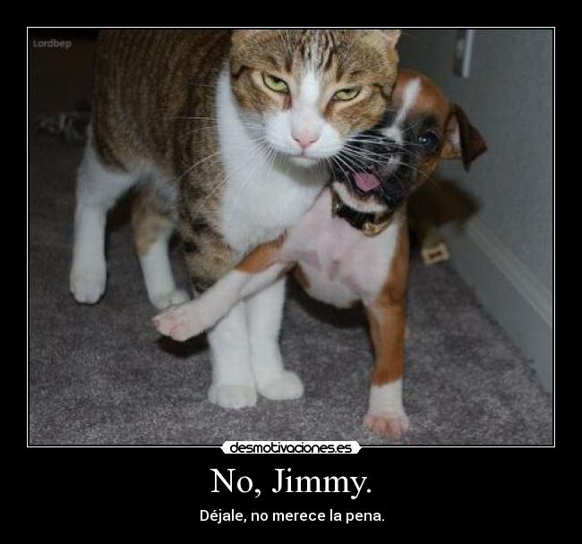 No, Jimmy. -
