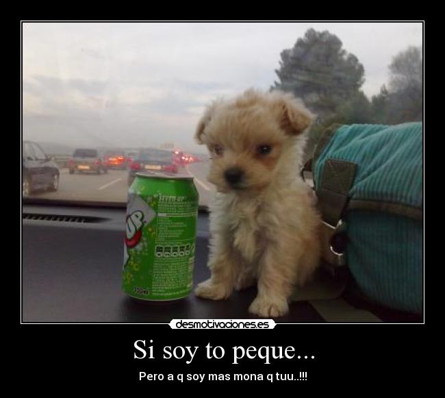 Si soy to peque... -