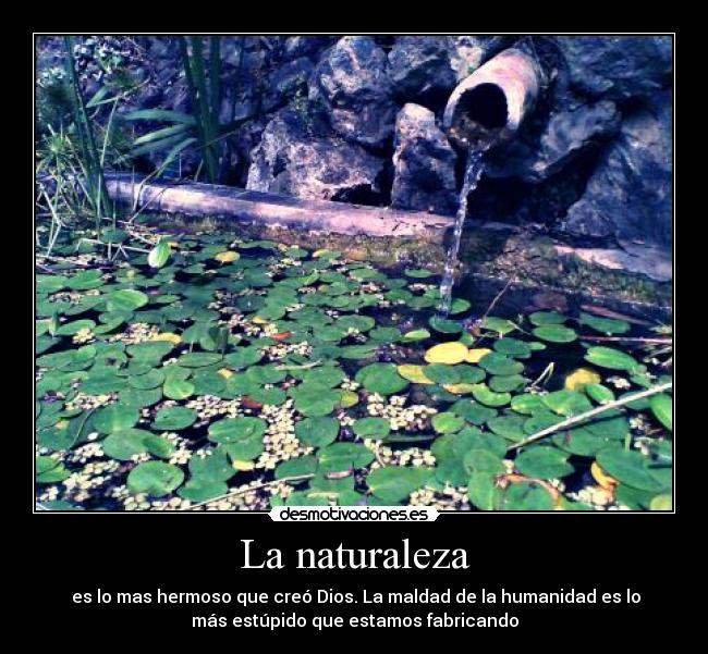 La naturaleza -