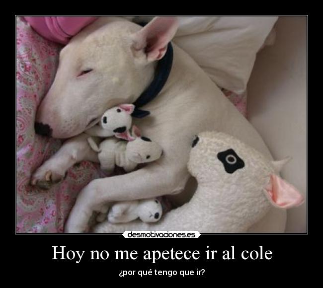 Hoy no me apetece ir al cole - 