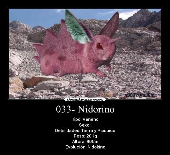 033- Nidorino -