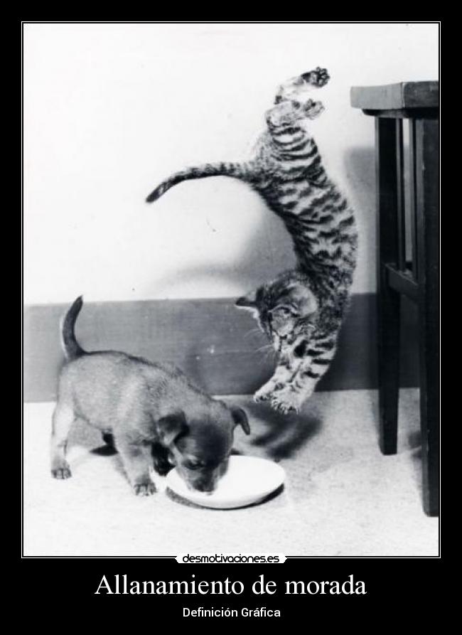 carteles allanamiento morada desmotivaciones