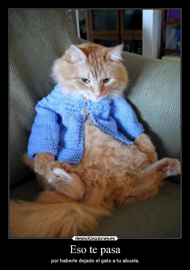 Eso te pasa - por haberle dejado el gato a tu abuela.
