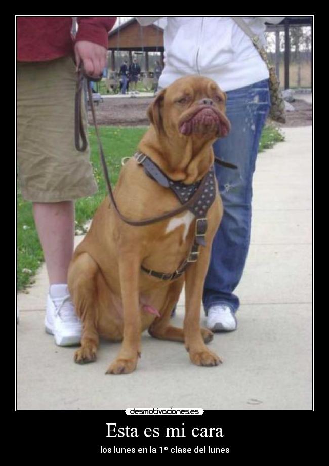 Esta es mi cara - los lunes en la 1º clase del lunes