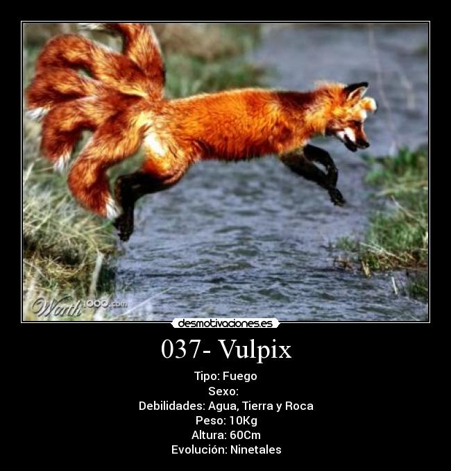 037- Vulpix - 