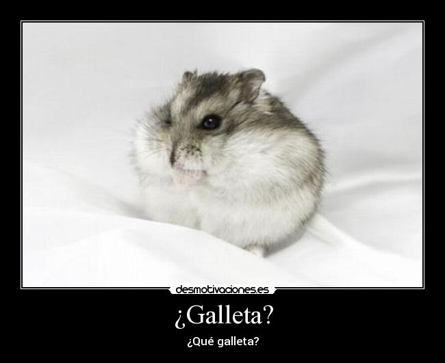 ¿Galleta? -