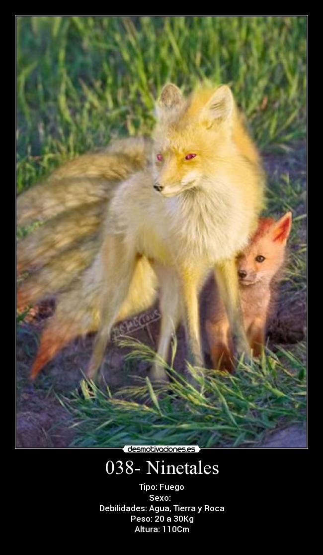 038- Ninetales -