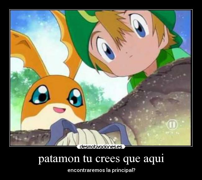 patamon tu crees que aqui -