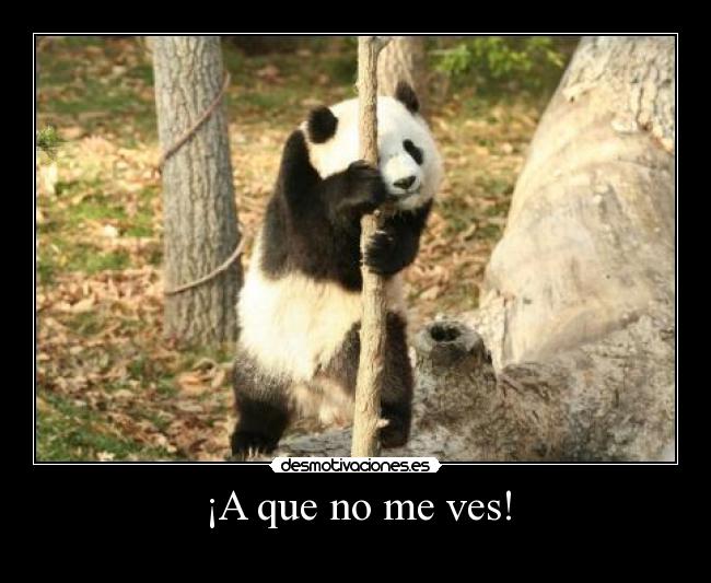 ¡A que no me ves! -