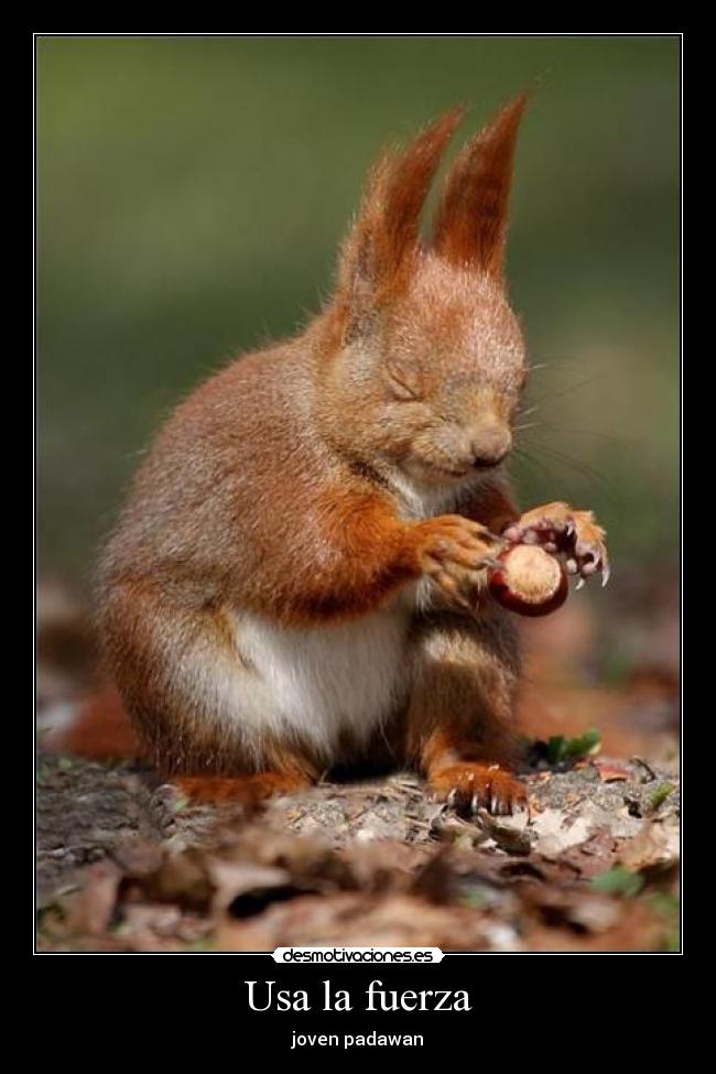 Usa la fuerza -