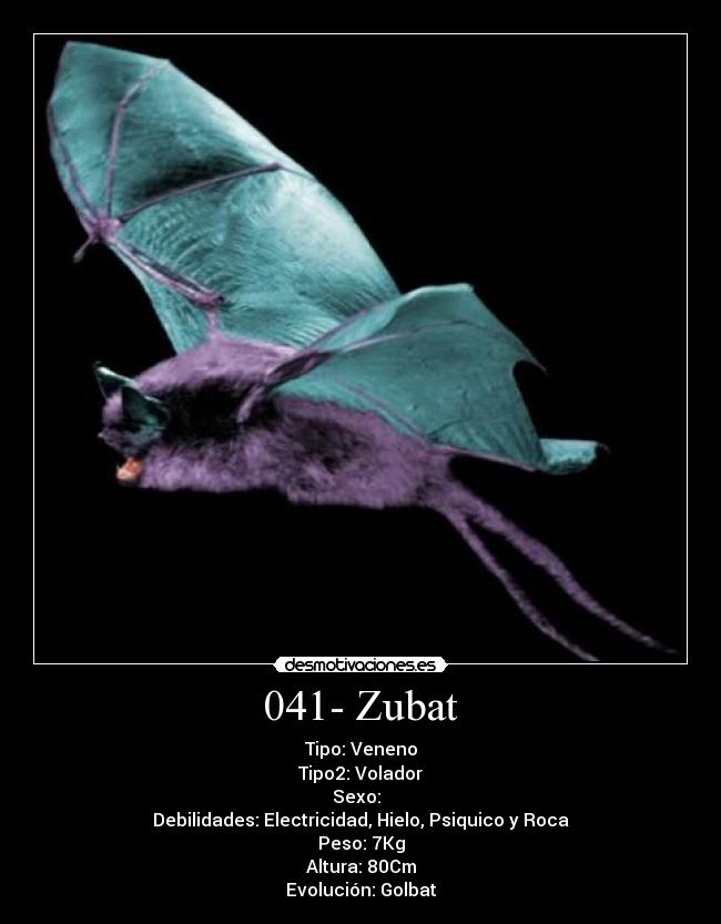 041- Zubat -