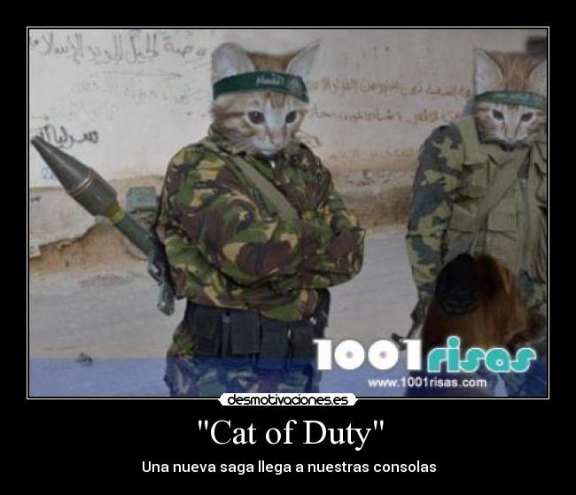 Cat of Duty - Una nueva saga llega a nuestras consolas