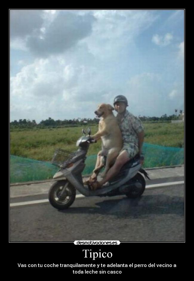 carteles desmotivaciones