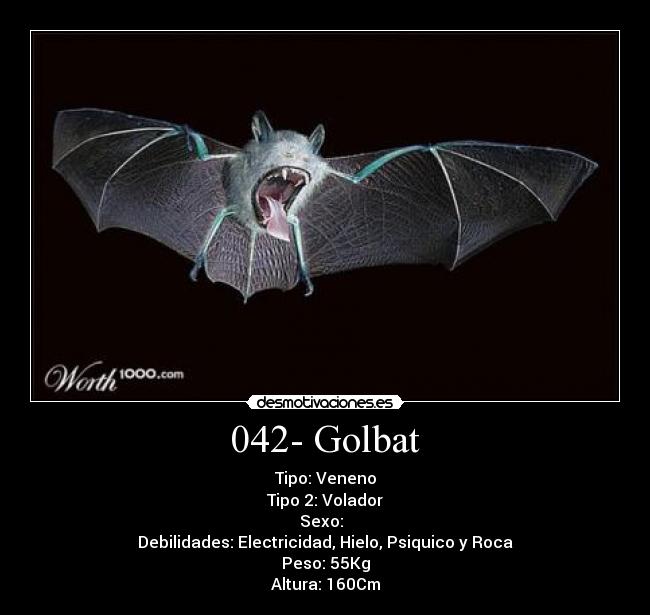 042- Golbat -