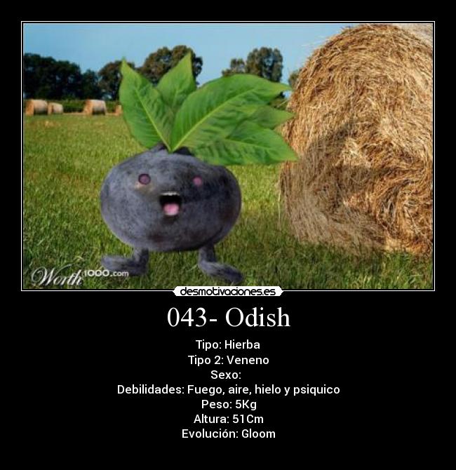 043- Odish -