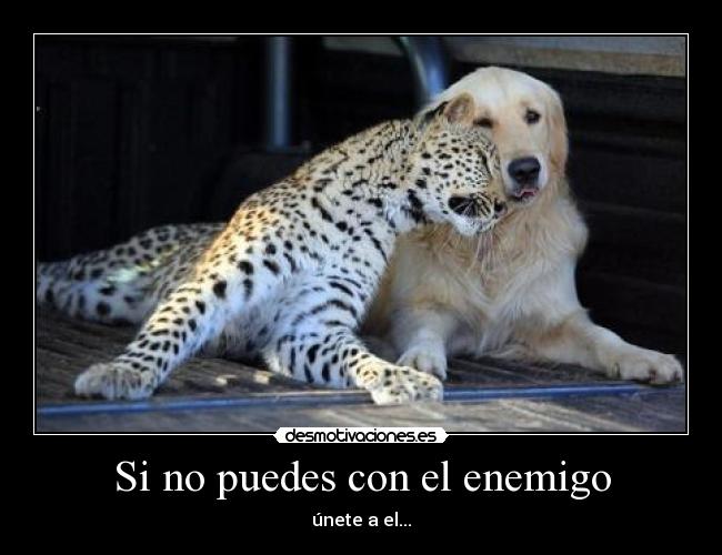 carteles enemigo desmotivaciones