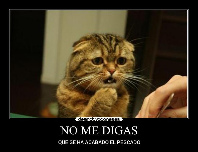 NO ME DIGAS - 