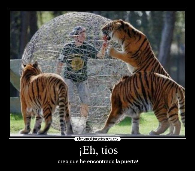 ¡Eh, tios - creo que he encontrado la puerta!