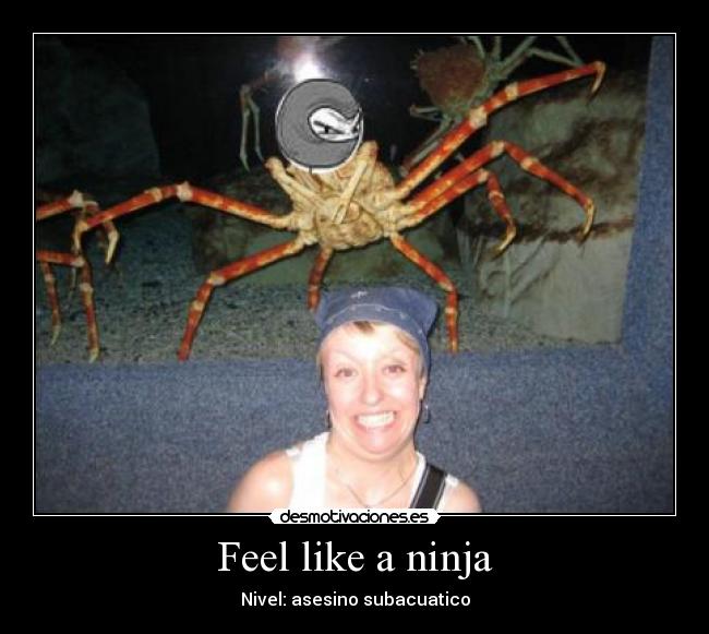 Feel like a ninja - 