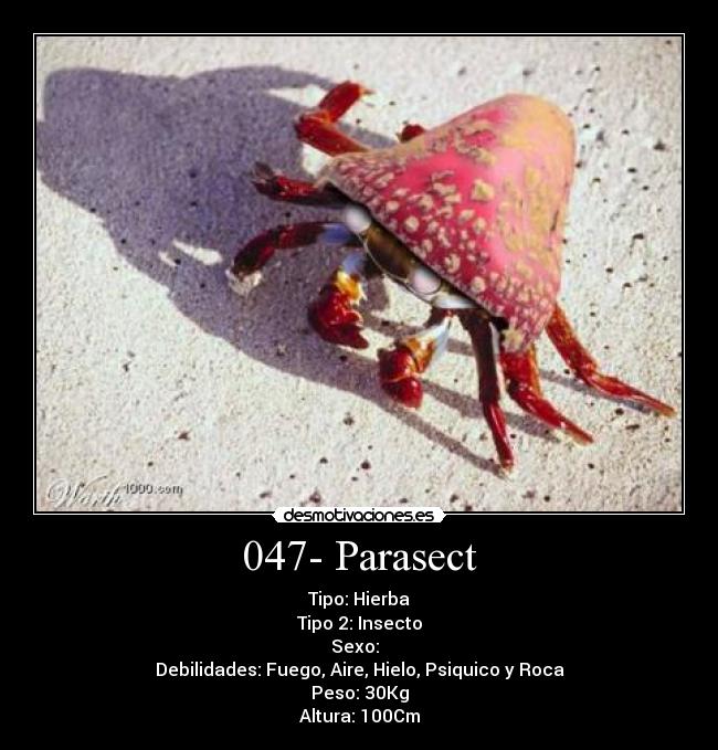 047- Parasect -