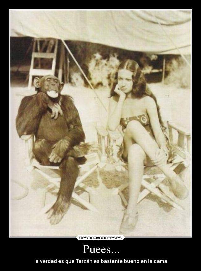 Puees... - la verdad es que Tarzán es bastante bueno en la cama