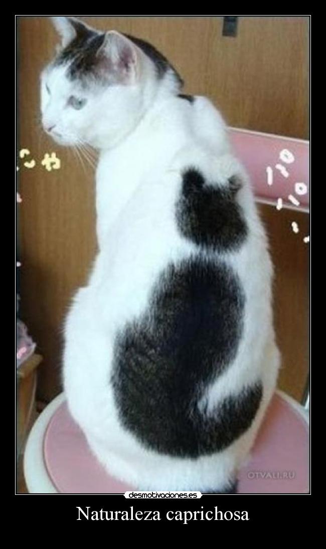 Naturaleza caprichosa -