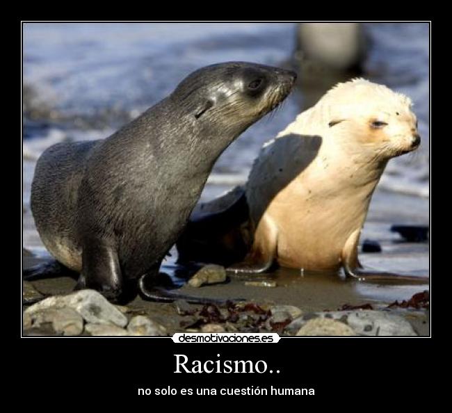 Racismo.. -