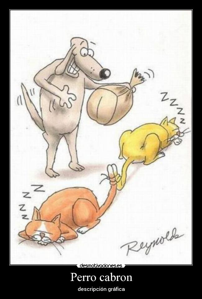 Perro cabron - 