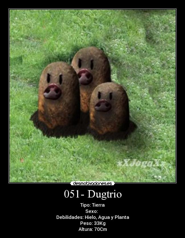 051- Dugtrio - Tipo: Tierra
Sexo: ♂♀
Debilidades: Hielo, Agua y Planta
Peso: 33Kg
Altura: 70Cm