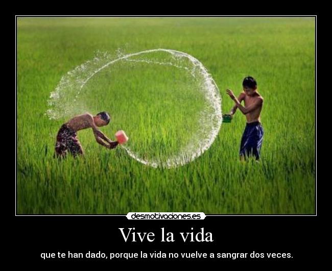 Vive la vida - 