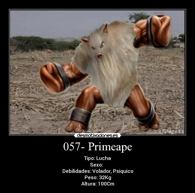 057- Primeape - Tipo: Lucha
Sexo: ♂♀
Debilidades: Volador, Psiquico
Peso: 32Kg
Altura: 100Cm