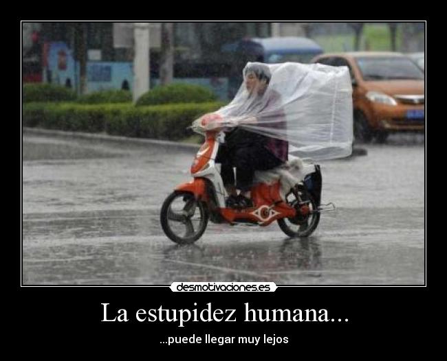 La estupidez humana... - ...puede llegar muy lejos