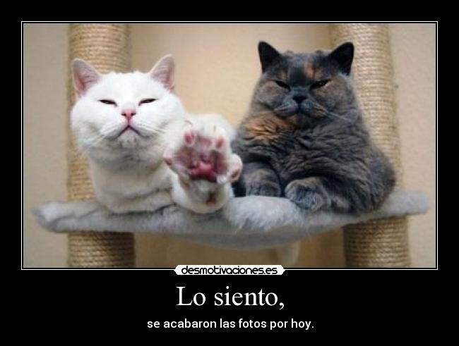Lo siento, - se acabaron las fotos por hoy.