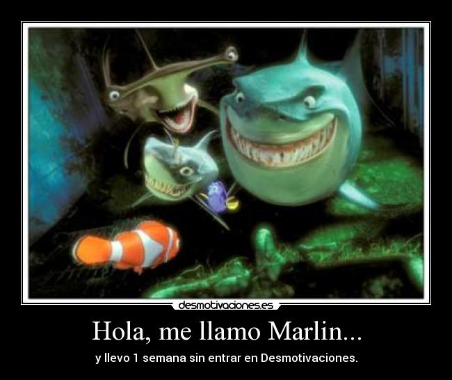 Imágenes y Carteles de MARLIN | Desmotivaciones