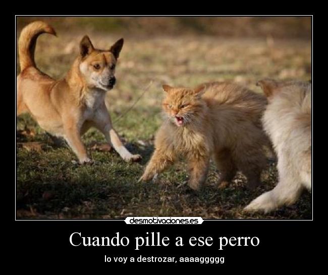 Cuando pille a ese perro - lo voy a destrozar, aaaaggggg