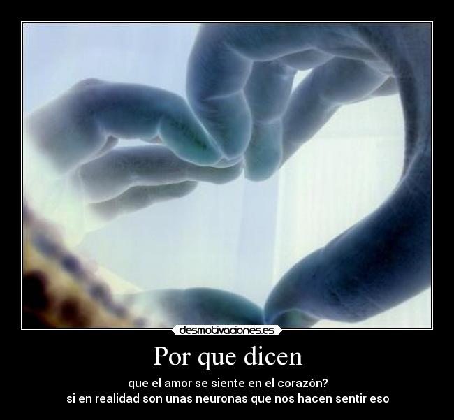 Por que dicen -