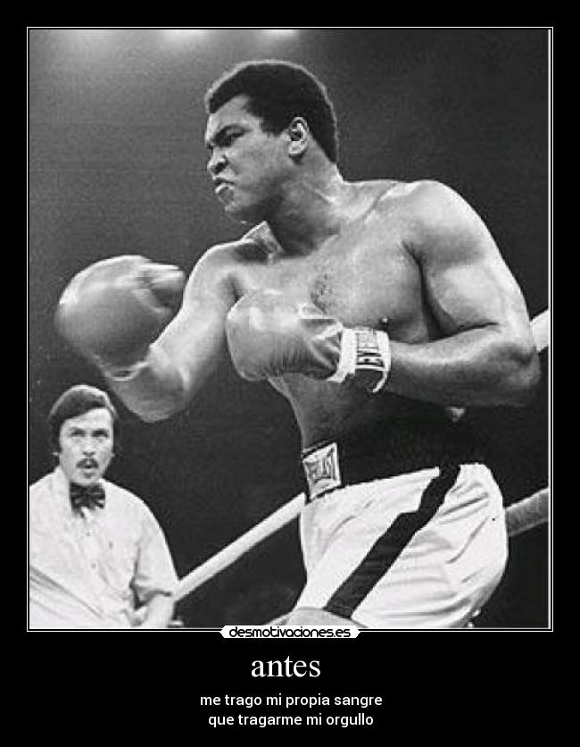 antes - me trago mi propia sangre
que tragarme mi orgullo