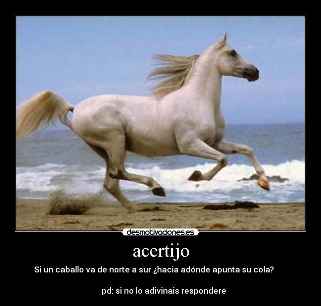 acertijo -