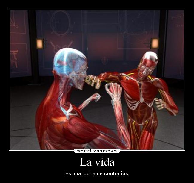 carteles vida vida desmotivaciones