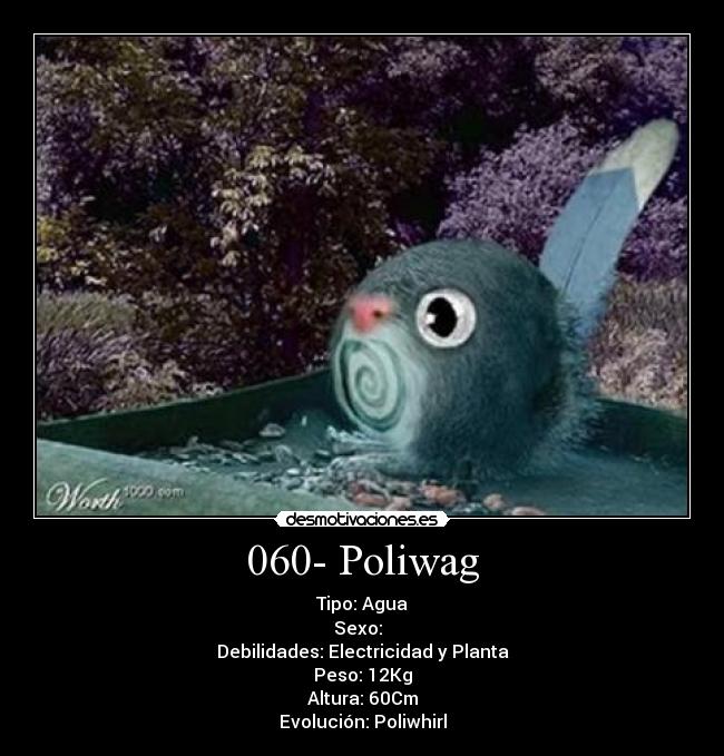 060- Poliwag - Tipo: Agua
Sexo: ♂♀
Debilidades: Electricidad y Planta
Peso: 12Kg
Altura: 60Cm
Evolución: Poliwhirl