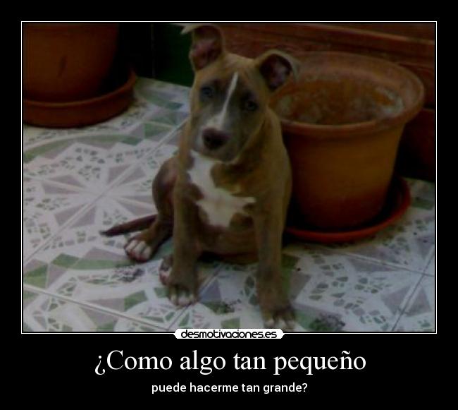 ¿Como algo tan pequeño - puede hacerme tan grande?