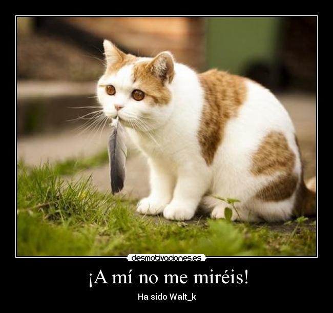 carteles wwwdesmotivacioneses desmotivaciones