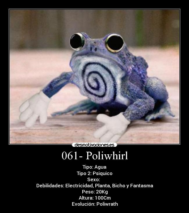 061- Poliwhirl - Tipo: Agua
Tipo 2: Psiquico
Sexo: ♂♀
Debilidades: Electricidad, Planta, Bicho y Fantasma
Peso: 20Kg
Altura: 100Cm
Evolución: Poliwrath