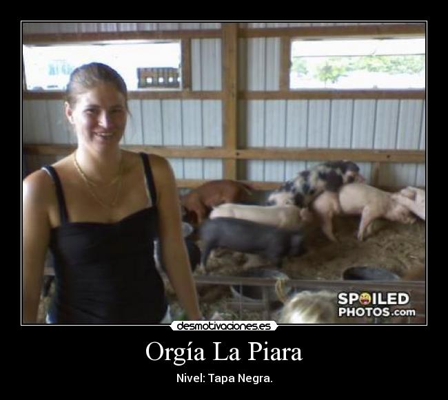 carteles piara tapa negra desmotivaciones